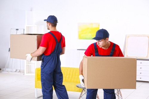 Southcroydon Storage introduction and local storage services concept