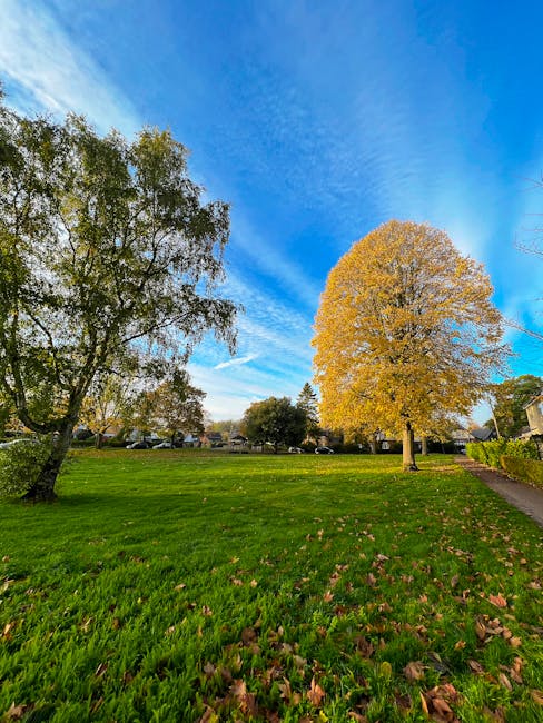 A wide view of a residential outdoor space showing a lush green lawn with fallen autumn leaves scattered across it. On the left side, there is a large, leafy tree with some branches extending into the